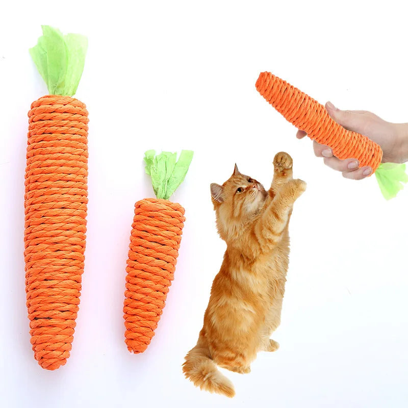 Interactive Carrot Cat Toy – Bite Resistant Catnip Chew Toy for Cats