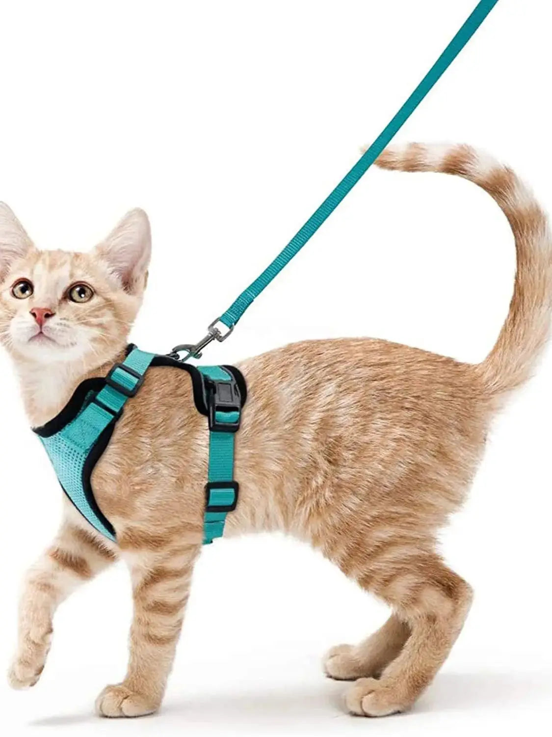 Escape-Proof Cat Harness & Leash Set – Adjustable Soft Vest for Safe Outdoor Walks