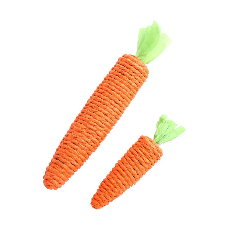 Interactive Carrot Cat Toy – Bite Resistant Catnip Chew Toy for Cats