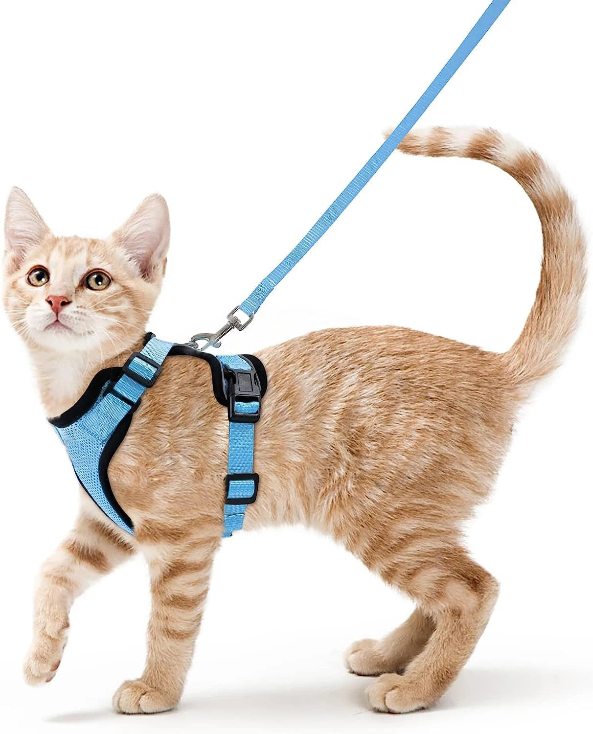 Escape-Proof Cat Harness & Leash Set – Adjustable Soft Vest for Safe Outdoor Walks