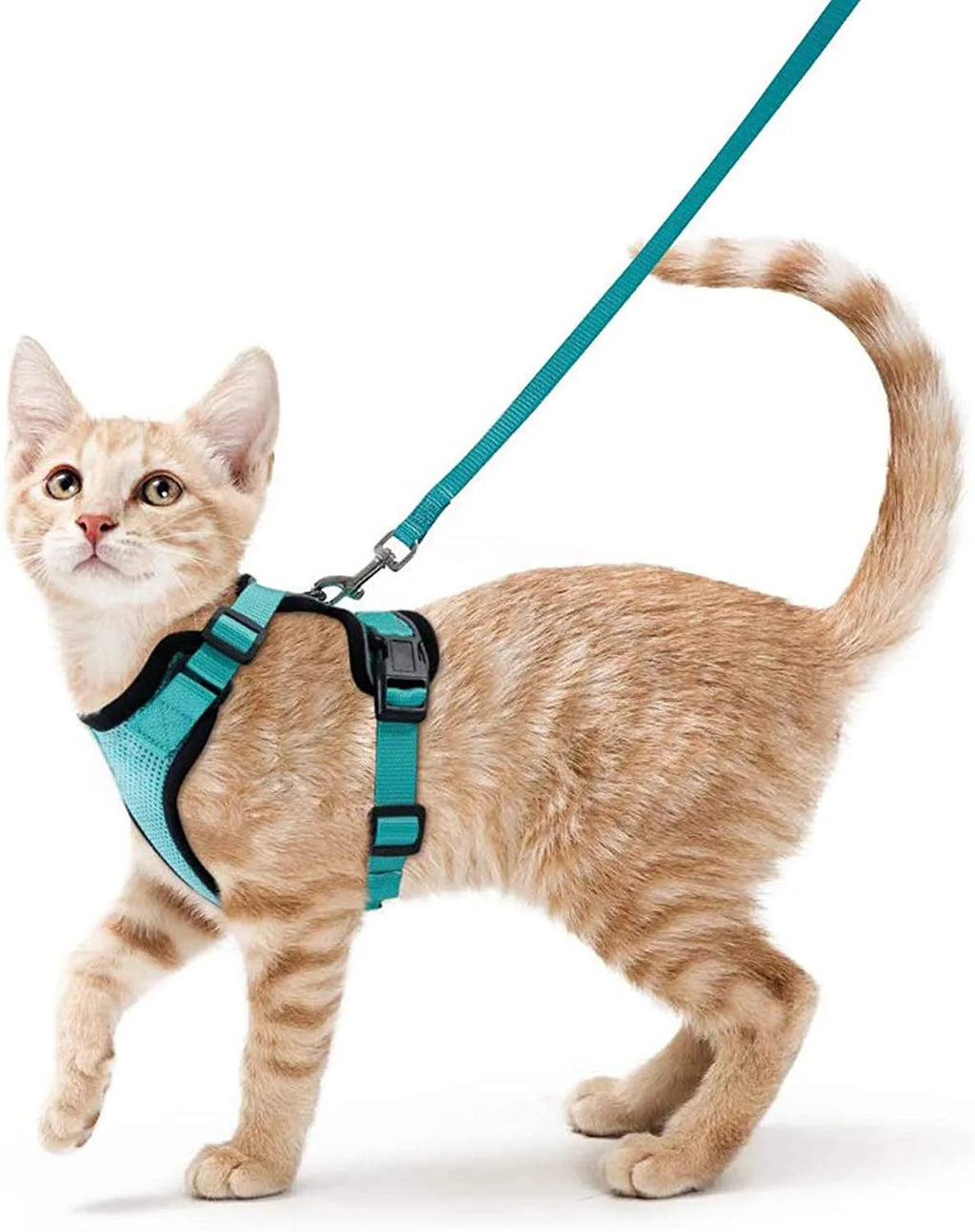 Escape-Proof Cat Harness & Leash Set – Adjustable Soft Vest for Safe Outdoor Walks
