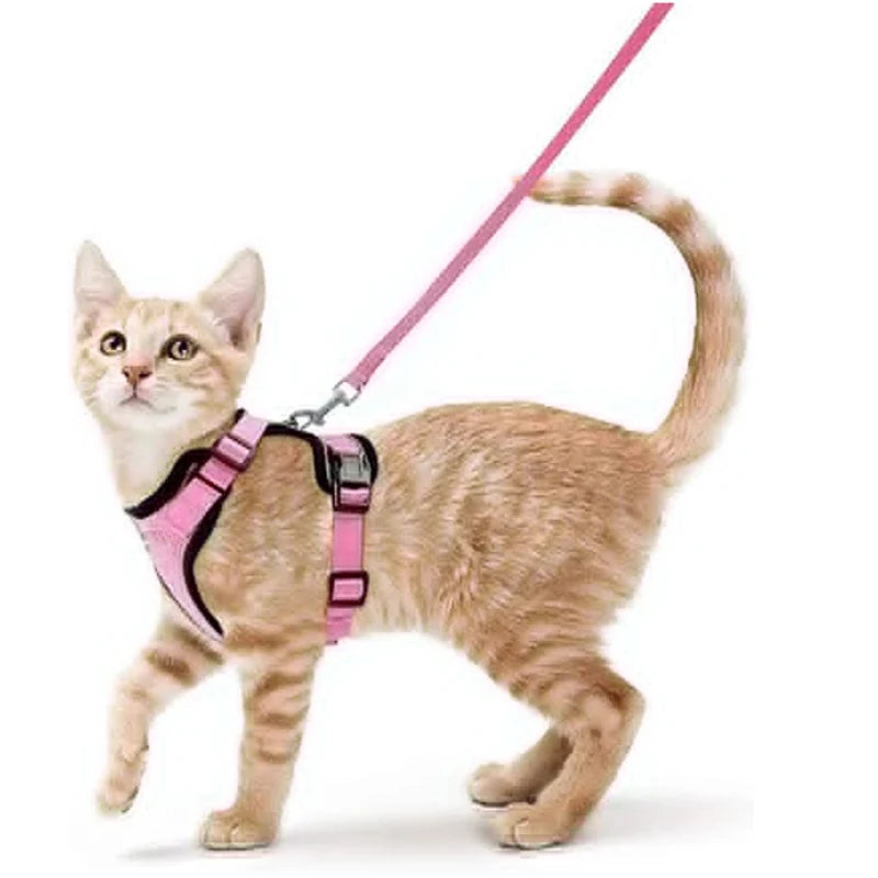 Escape-Proof Cat Harness & Leash Set – Adjustable Soft Vest for Safe Outdoor Walks