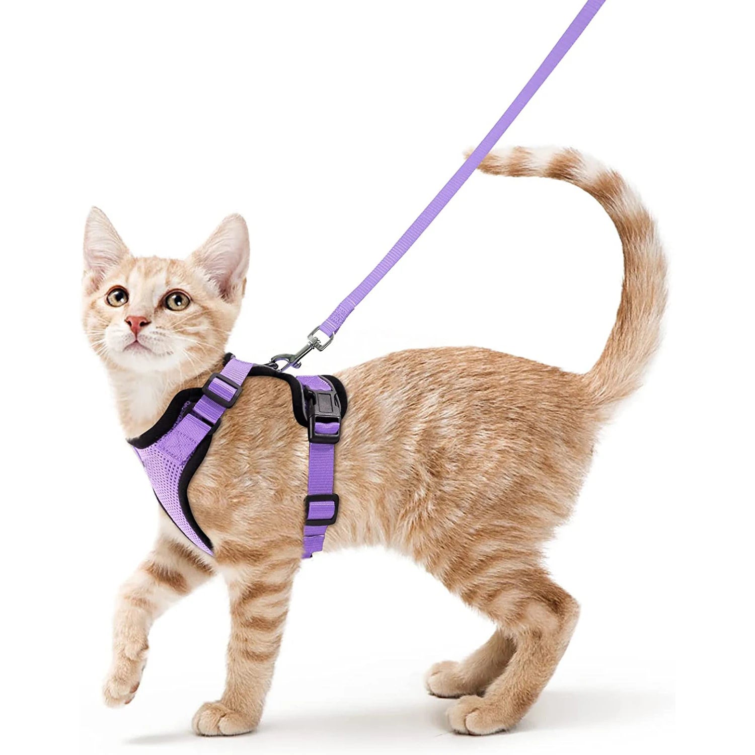 Escape-Proof Cat Harness & Leash Set – Adjustable Soft Vest for Safe Outdoor Walks