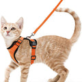 Escape-Proof Cat Harness & Leash Set – Adjustable Soft Vest for Safe Outdoor Walks