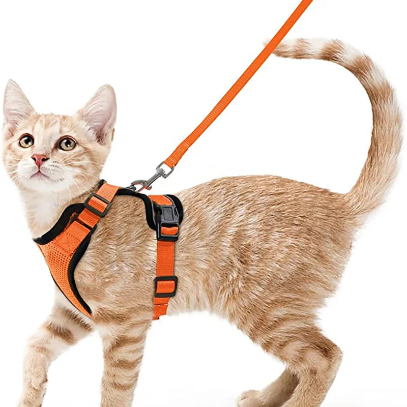 Escape-Proof Cat Harness & Leash Set – Adjustable Soft Vest for Safe Outdoor Walks