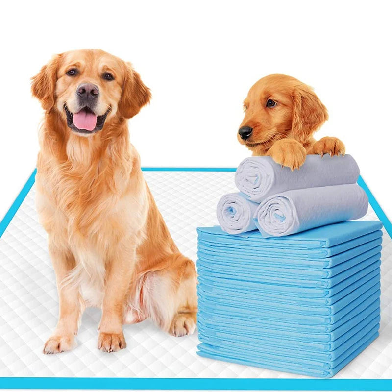 100-Pack Super Absorbent Pet Training Pads – Leak-Proof Puppy & Cat Pee Pads