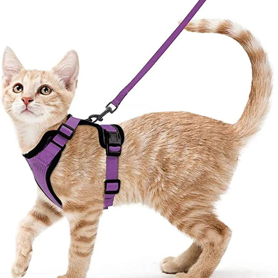 Escape-Proof Cat Harness & Leash Set – Adjustable Soft Vest for Safe Outdoor Walks