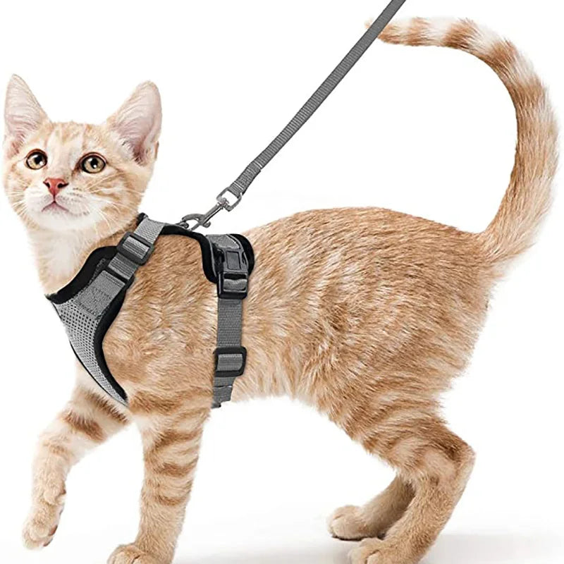 Escape-Proof Cat Harness & Leash Set – Adjustable Soft Vest for Safe Outdoor Walks
