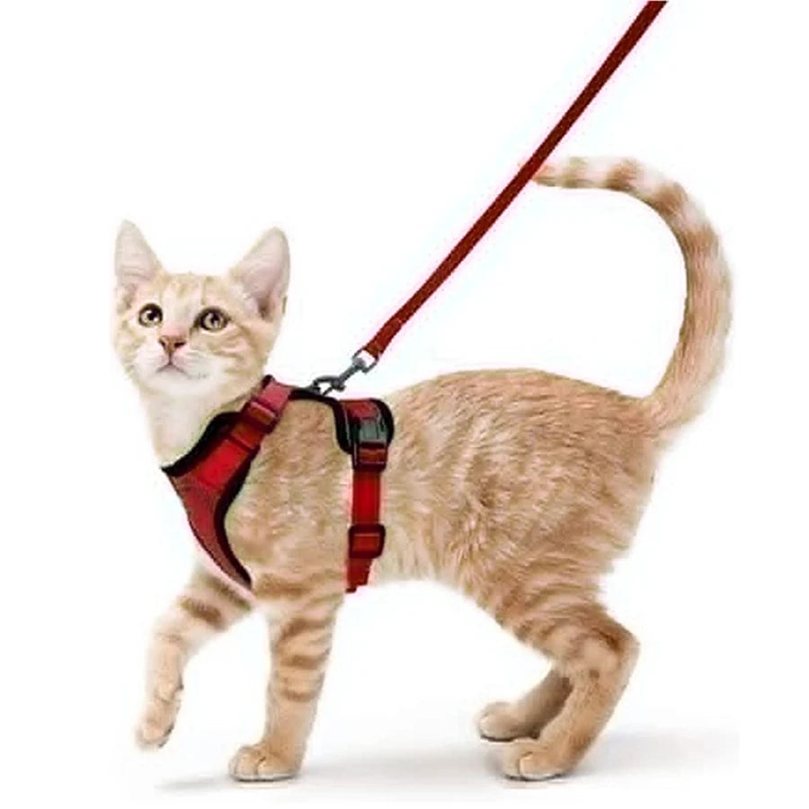 Escape-Proof Cat Harness & Leash Set – Adjustable Soft Vest for Safe Outdoor Walks