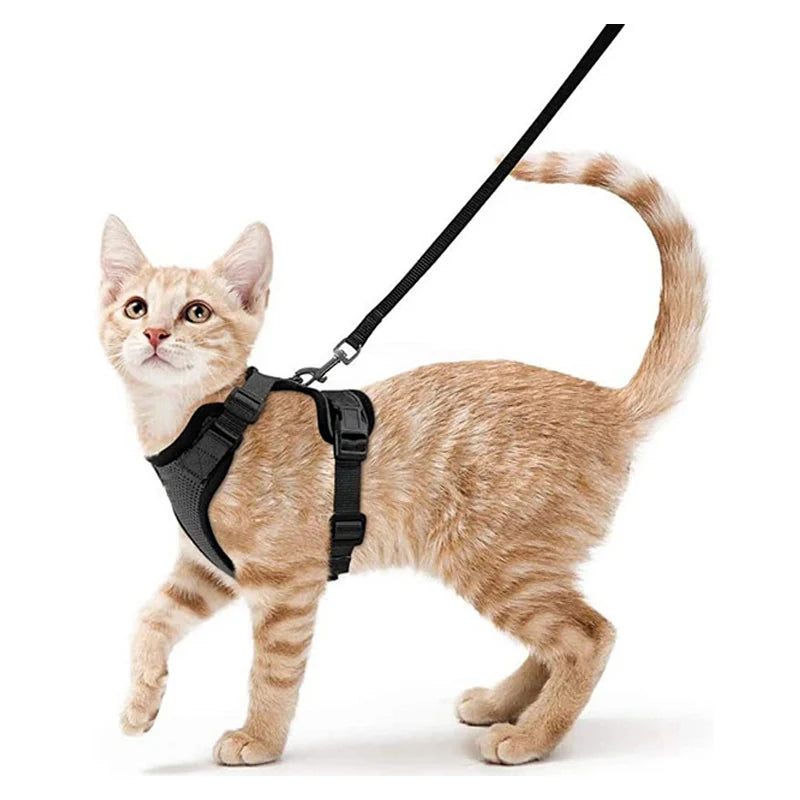 Escape-Proof Cat Harness & Leash Set – Adjustable Soft Vest for Safe Outdoor Walks