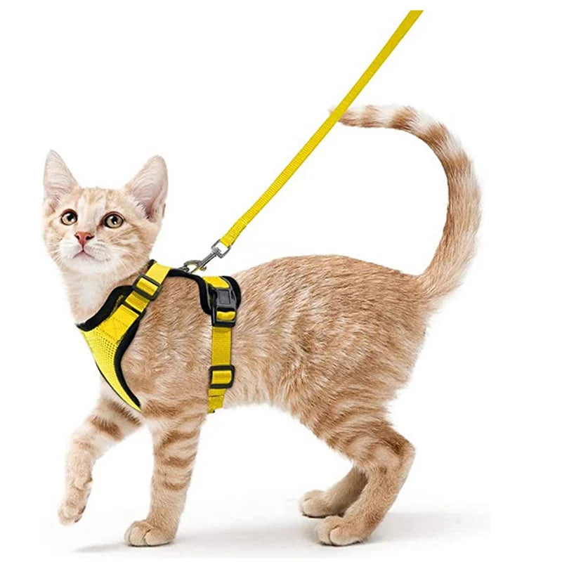Escape-Proof Cat Harness & Leash Set – Adjustable Soft Vest for Safe Outdoor Walks